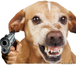 Doge incorporated11