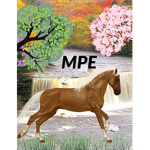 MixPony Equestrian