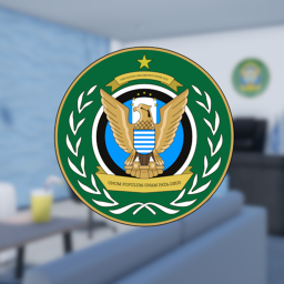 Interim Government