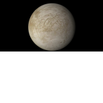 Fallen Europa Company