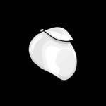 MANGO STUDIO | MS