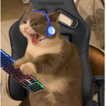 CATS_isREALYCOOL