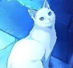 kshins