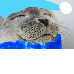 Seal sleeping place