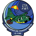 Squadron 501