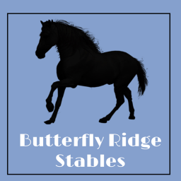 Adoption Horse's Application Centre