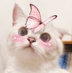 angelic :3