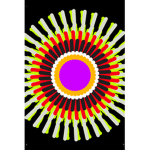 Daisy t-shirts