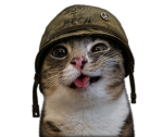 Devrudo