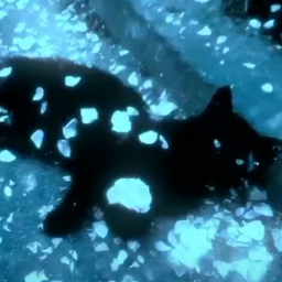 ✿