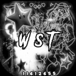 wst 米