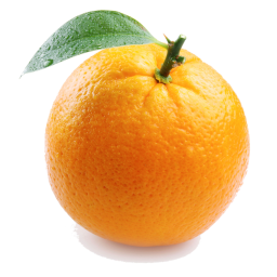 The Orange Obby.