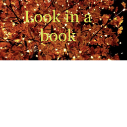 Fall