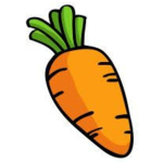 Karli's Carrot's