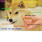 Doge fan group (also fan group of dominusbanhammer