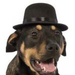 Dog peoples/clan