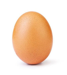 Eggs communities