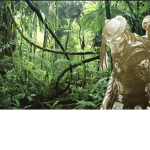 Jungle Hunters