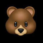 Beary ggggrrrrrrrr group