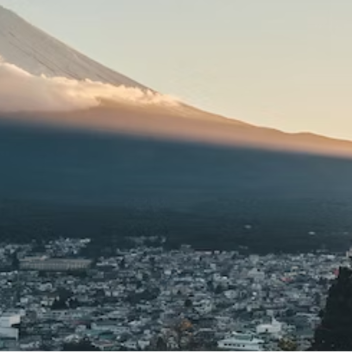 ✦