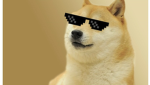 The doge clubbb