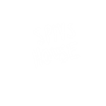 spivs house