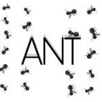 The Official Ant Group