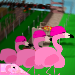 Flamingo Military Training.
