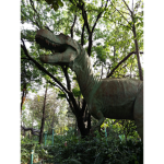 Dinos und co