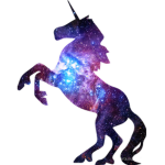 mmm unicorn