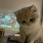 KITTYFECTO