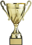 football fusion league 1