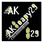 S29