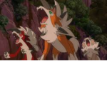 Lycanroc Pack