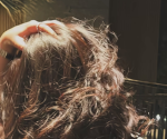 JVXCY