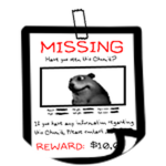Missing Poster Chomik