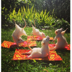Gang Of Rats Teehee