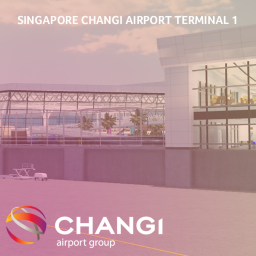 Singapore Changi Airport Terminal 1