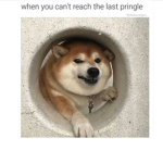 The Last Pringle