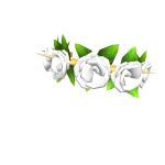 Spiked White Rose Crown