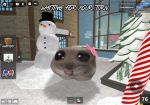 Awh_sopph