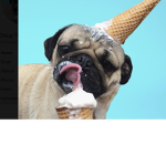 We Love Pugs Crew