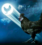 CLUCK ARMY GO