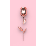 TT_16.7