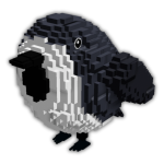 Birb