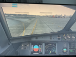 POV your brother is a extreme flight simmer
