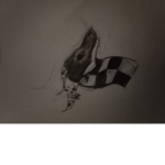 Checker wings ( Wings Of Fire )
