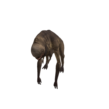 Distortus Rex