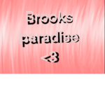 Brooklyns paradise