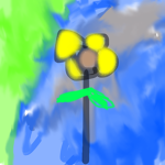 blooming sunflower